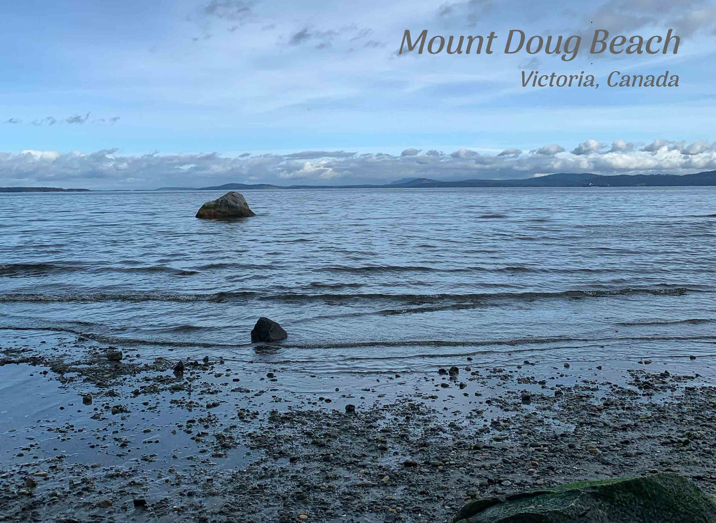 PS312 Mount Doug Beach