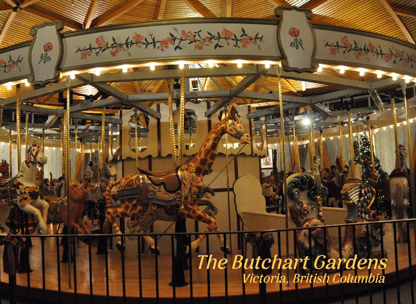 PU013 /P294 Carousel