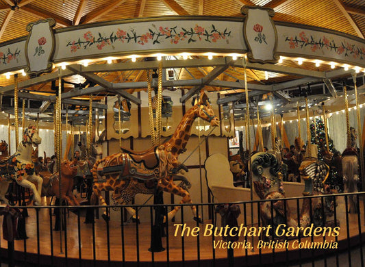 PU013 /P294 Carousel