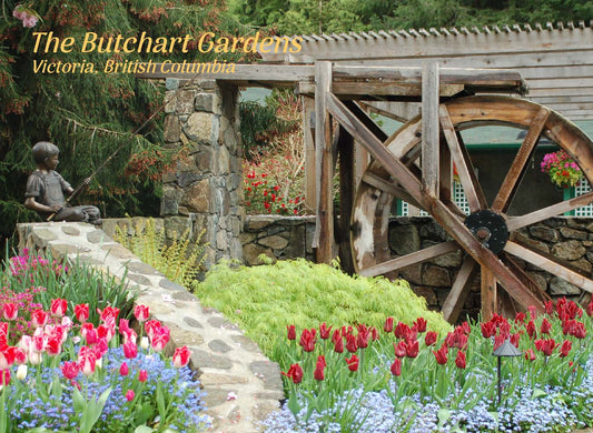 PU017 /P286 Water Wheel