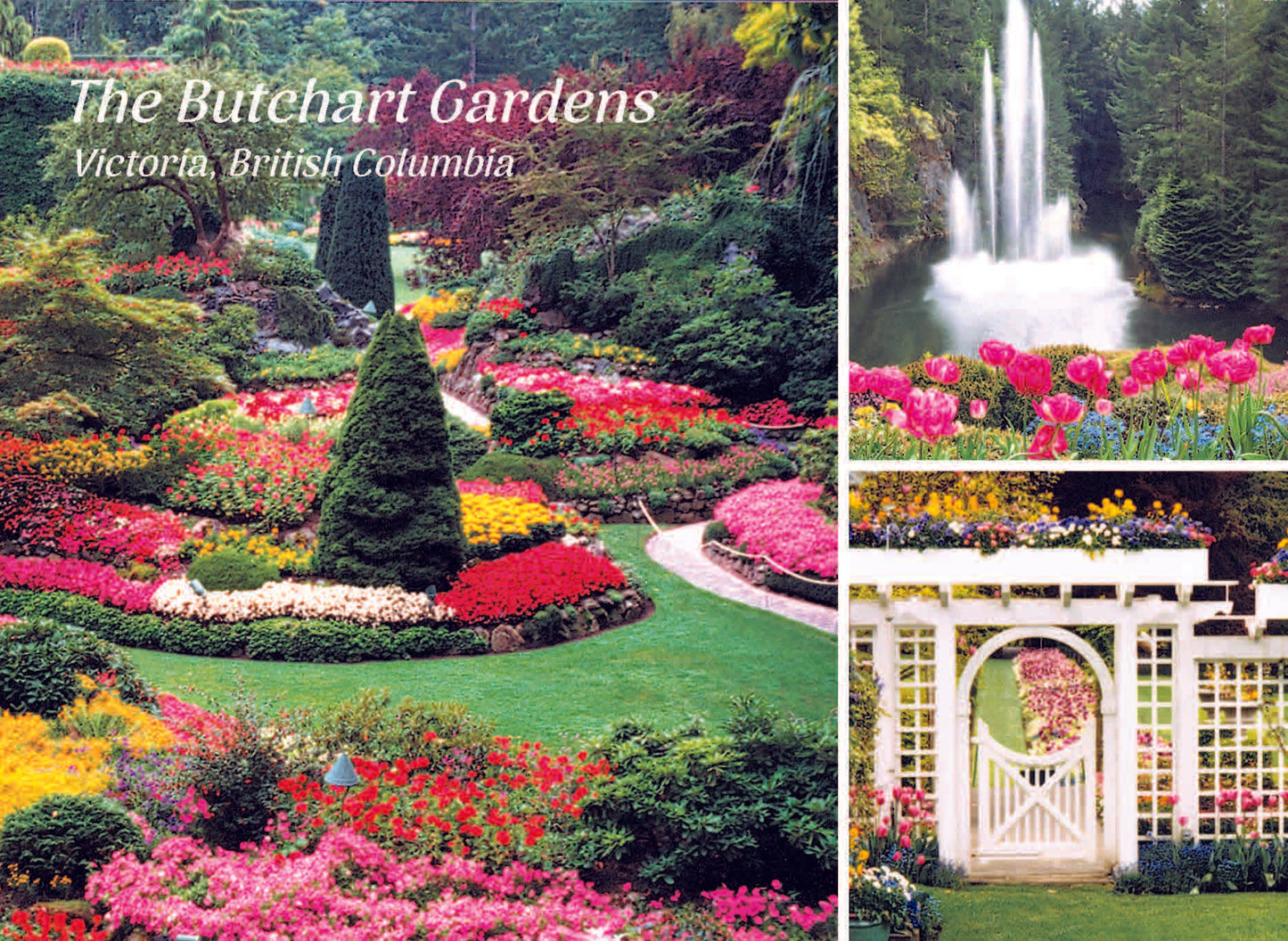 PU113 /P110 Butchart Gardens 3 scene