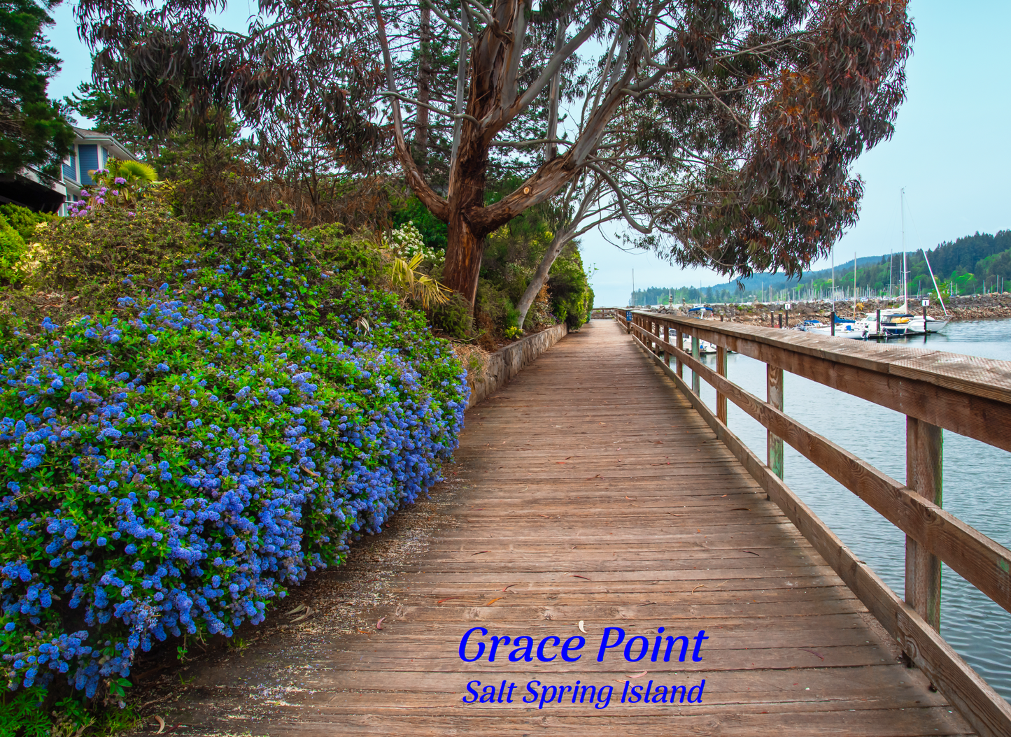 PX023 Grace Point