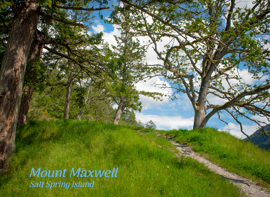 PX024 Mount Maxwell