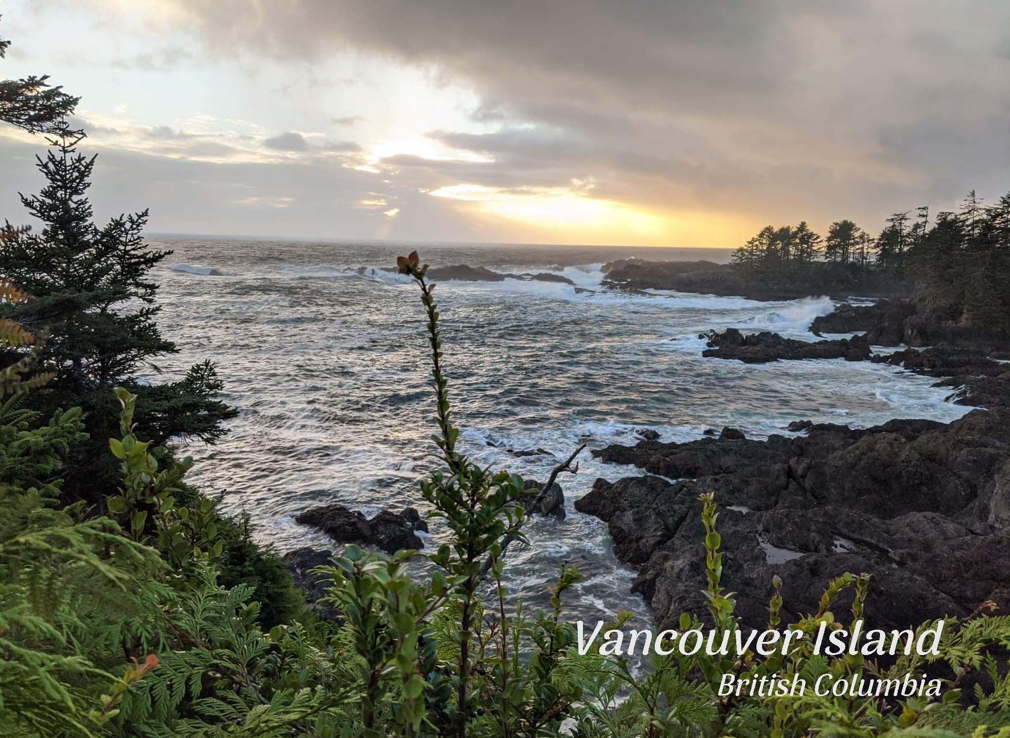 PZ053 Lighthouse Loop, Vancouver Island – VanIsleBrands
